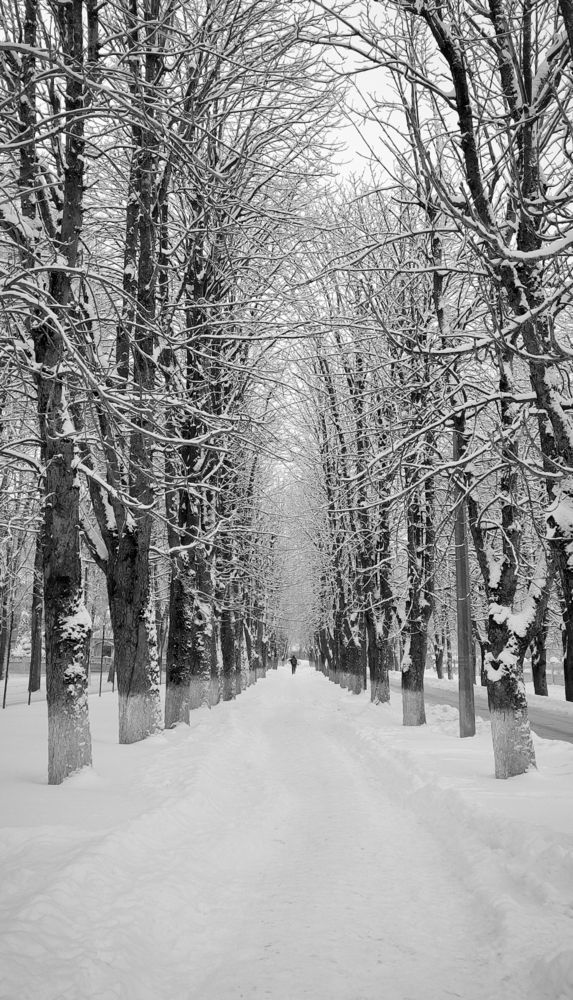 Photograph by Александр Житник