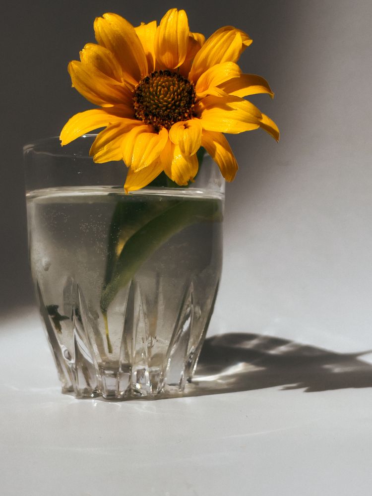 Photograph by Кристина Иванова