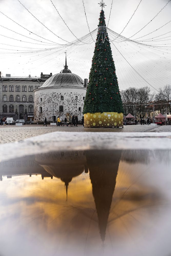 Photograph by Чернышова Наталья