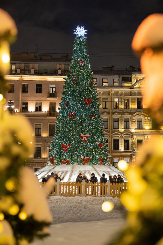 Photograph by Чернышова Наталья