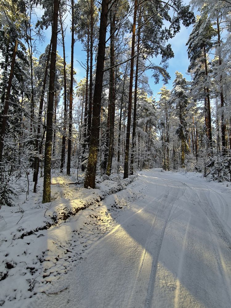 Photograph by Ирина Хлебникова