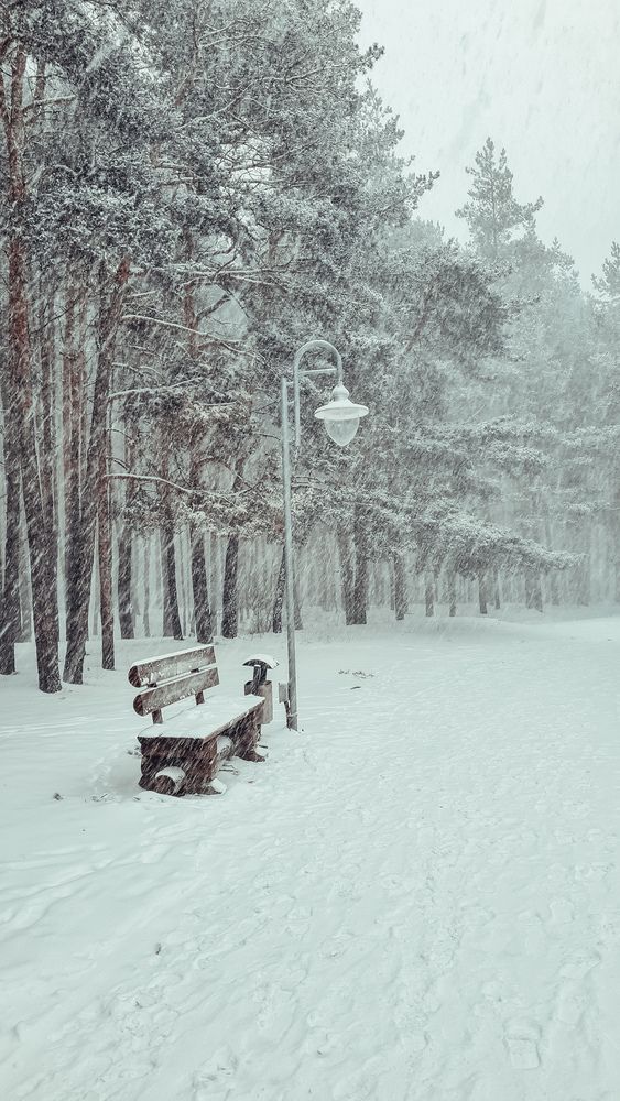 Photograph by Елена Гунько