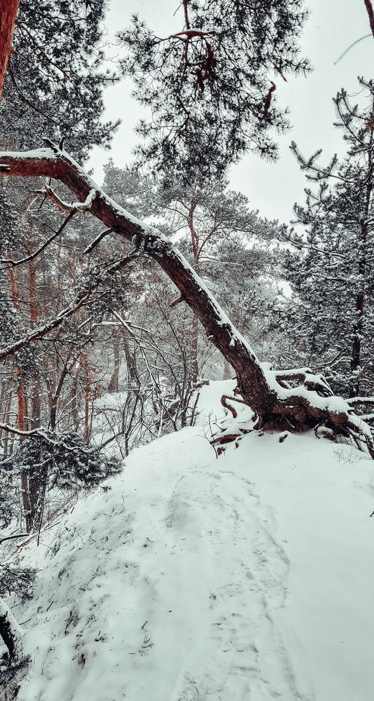 Photograph by Елена Гунько