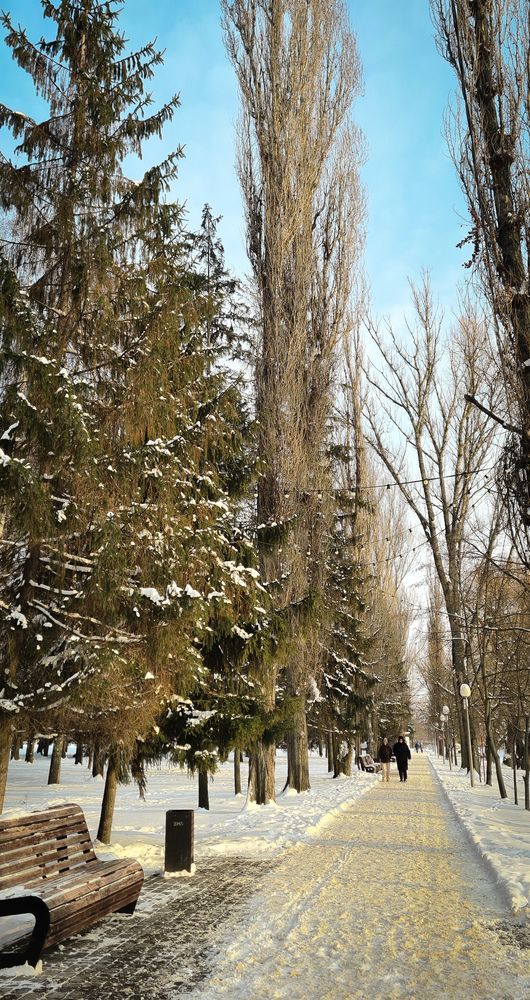 Photograph by Елена Гунько