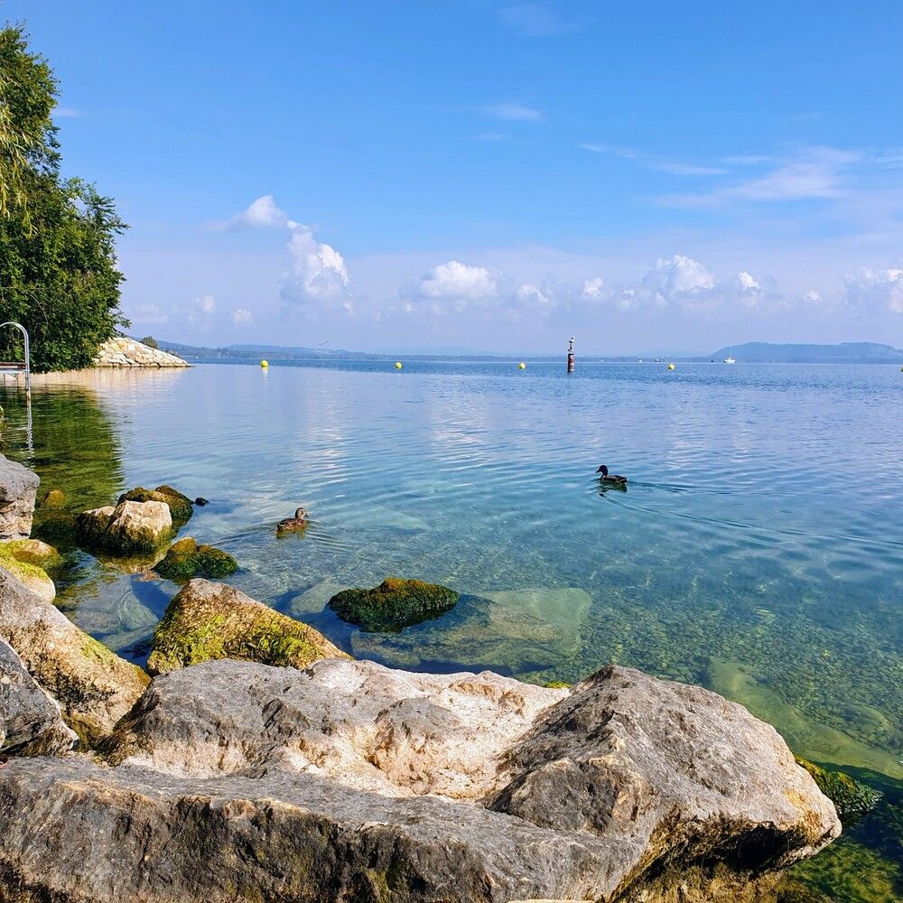 Photograph by Jasmina Zafer