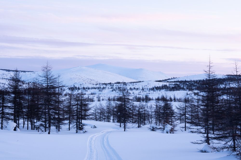 Photograph by Хазан Сергей