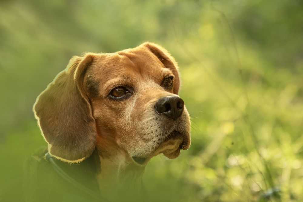 Photograph by Юлия Куликова