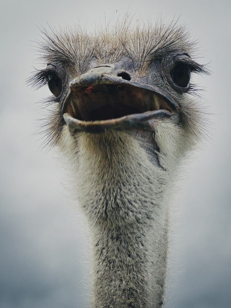 Photograph by Ирина Хлебникова