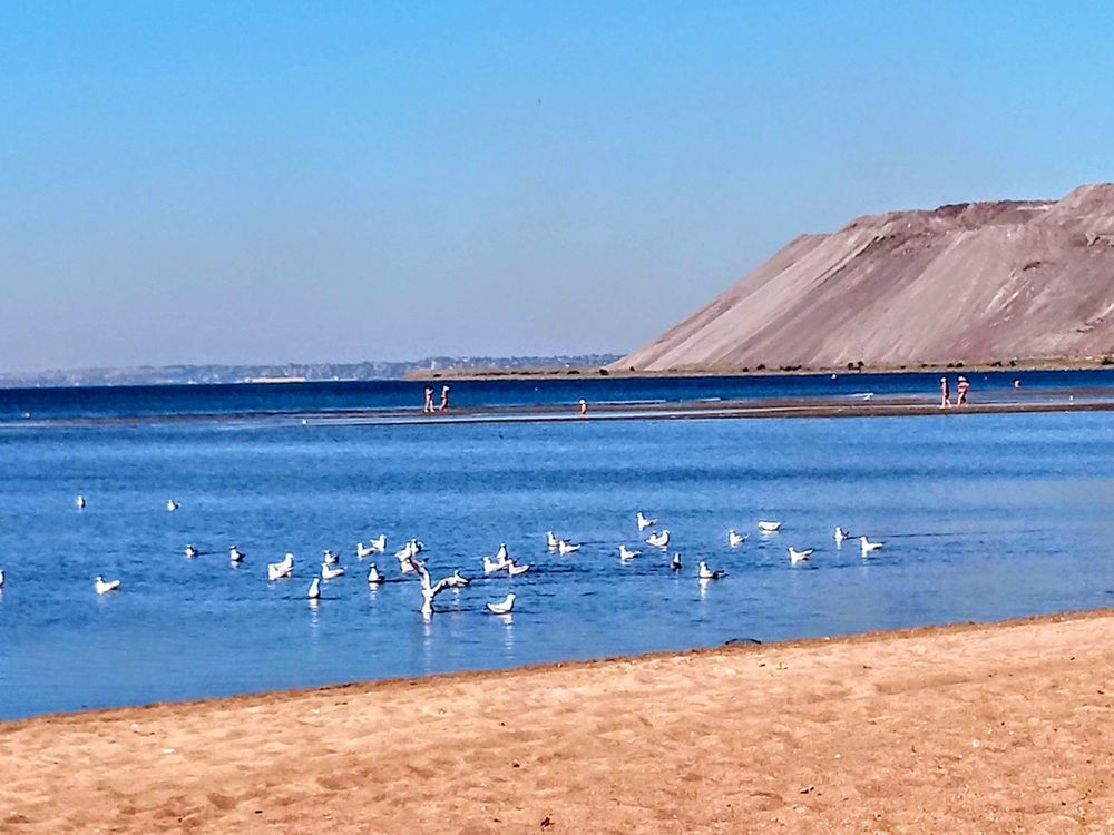 Photograph by Татьяна Пальчикова