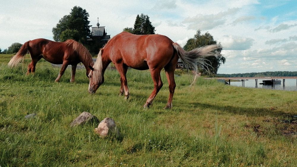 Photograph by Илья Гунбин