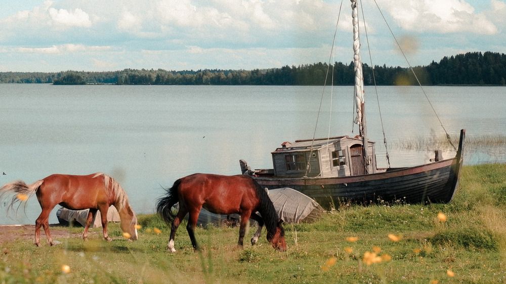 Photograph by Илья Гунбин