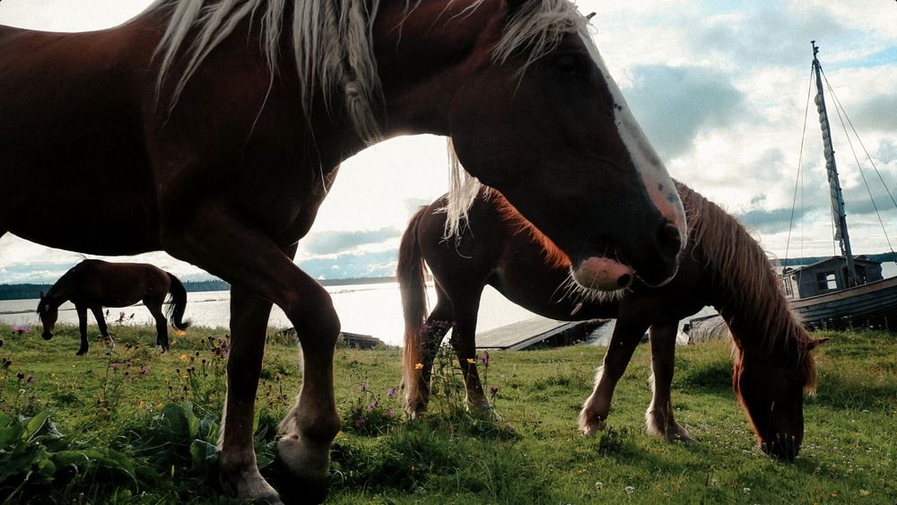 Photograph by Илья Гунбин