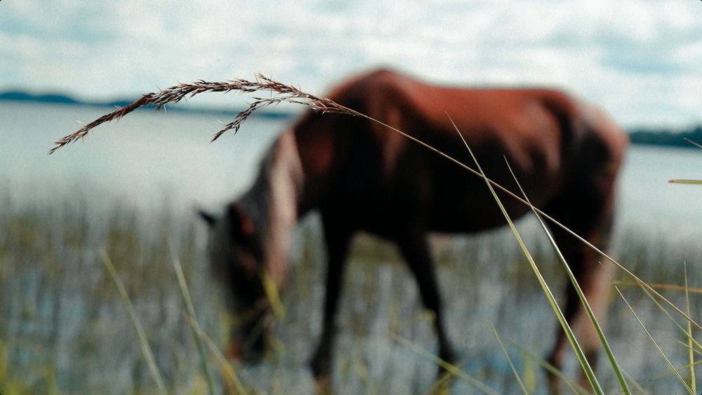 Photograph by Илья Гунбин