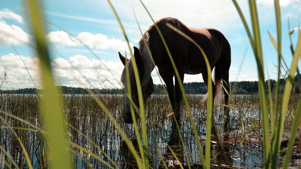 Photograph by Илья Гунбин