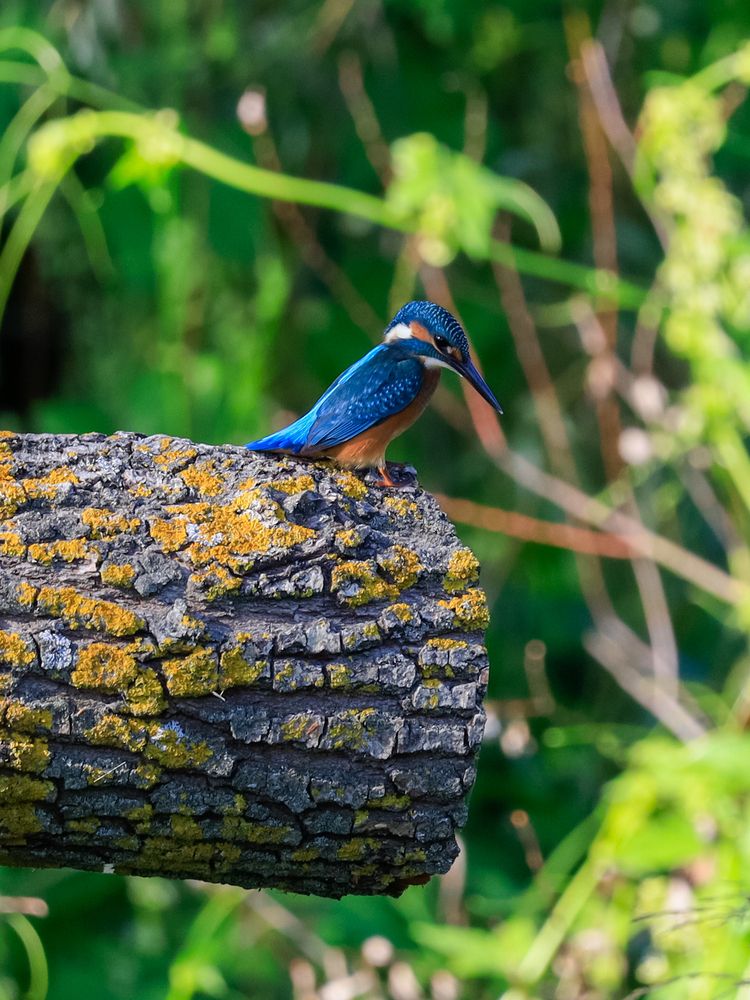 Photograph by Сергей Конюшенко