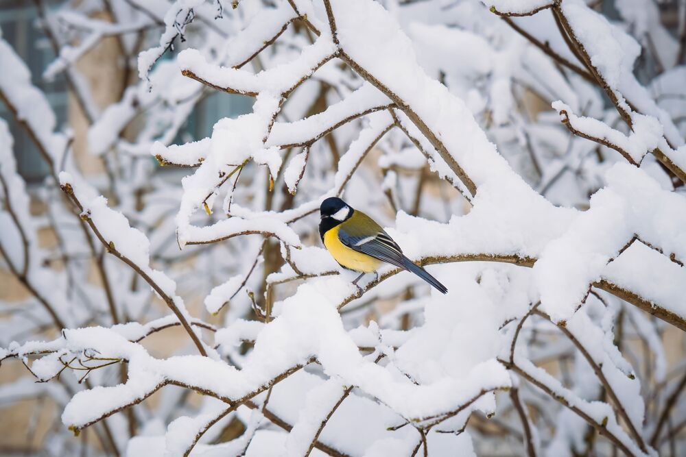 Photograph by Илья Гунбин