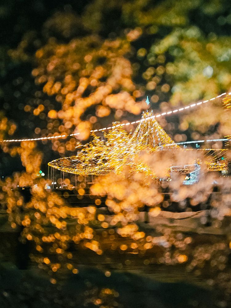 Photograph by Кристина Альшанская