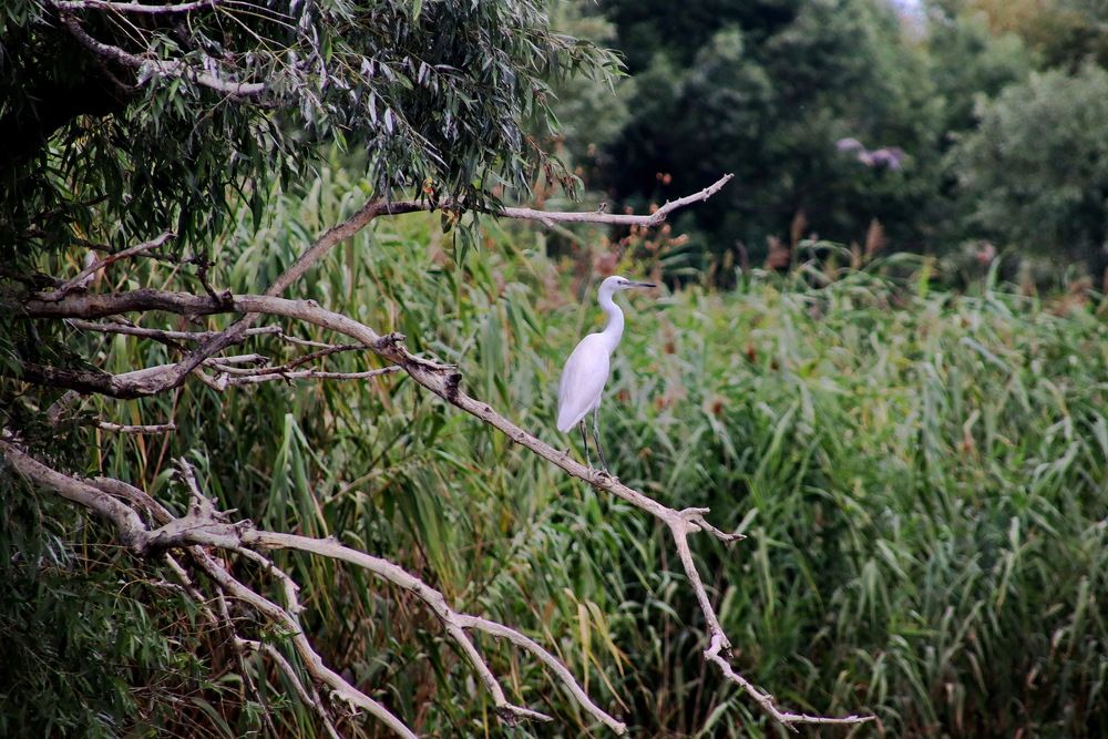 Photograph by Вакулина Марина