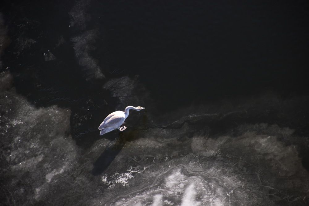 Photograph by Вакулина Марина