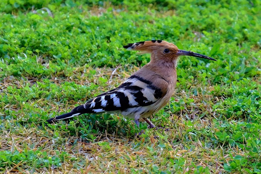 Фотография автора Dmitry