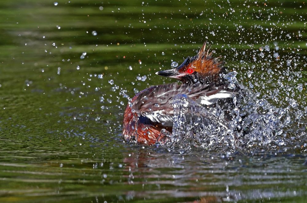 В сиянии алмазов