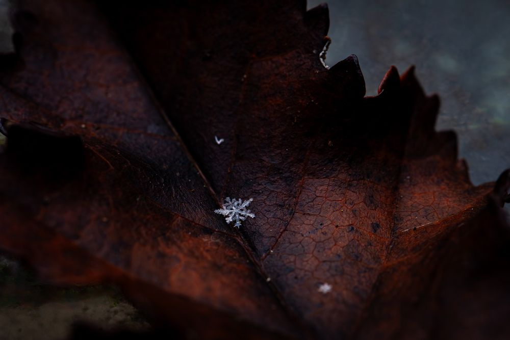 Impermanence