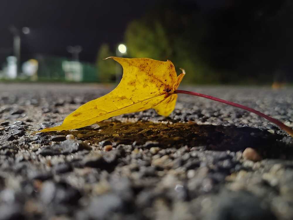 Photograph by Piotr Juszczynski