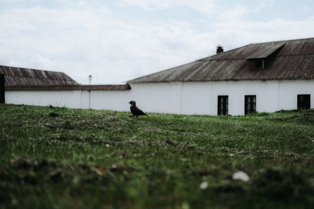 Photograph by Елизавета Азатовна