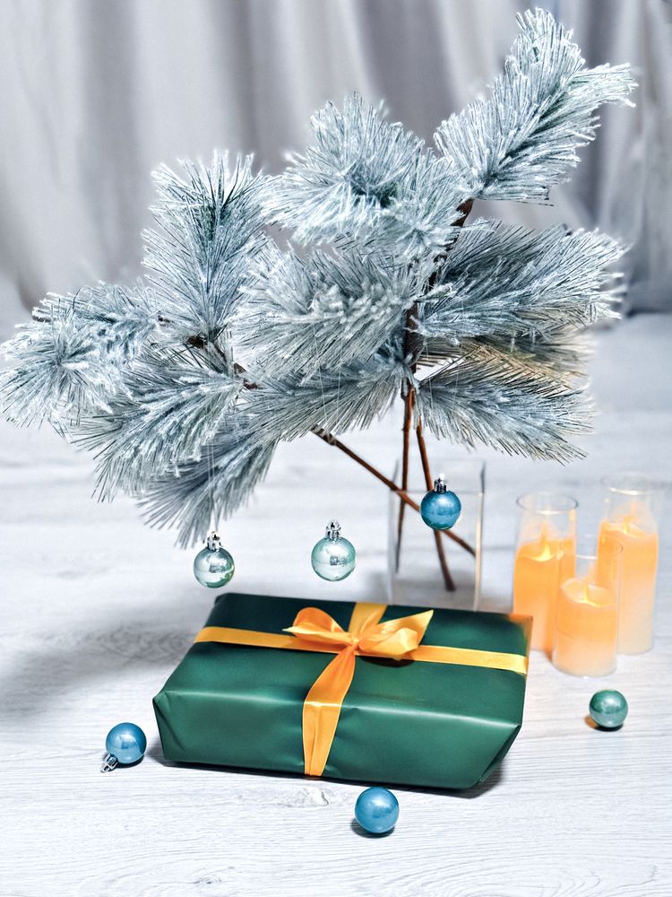 Фотография автора Елена Чулюнина