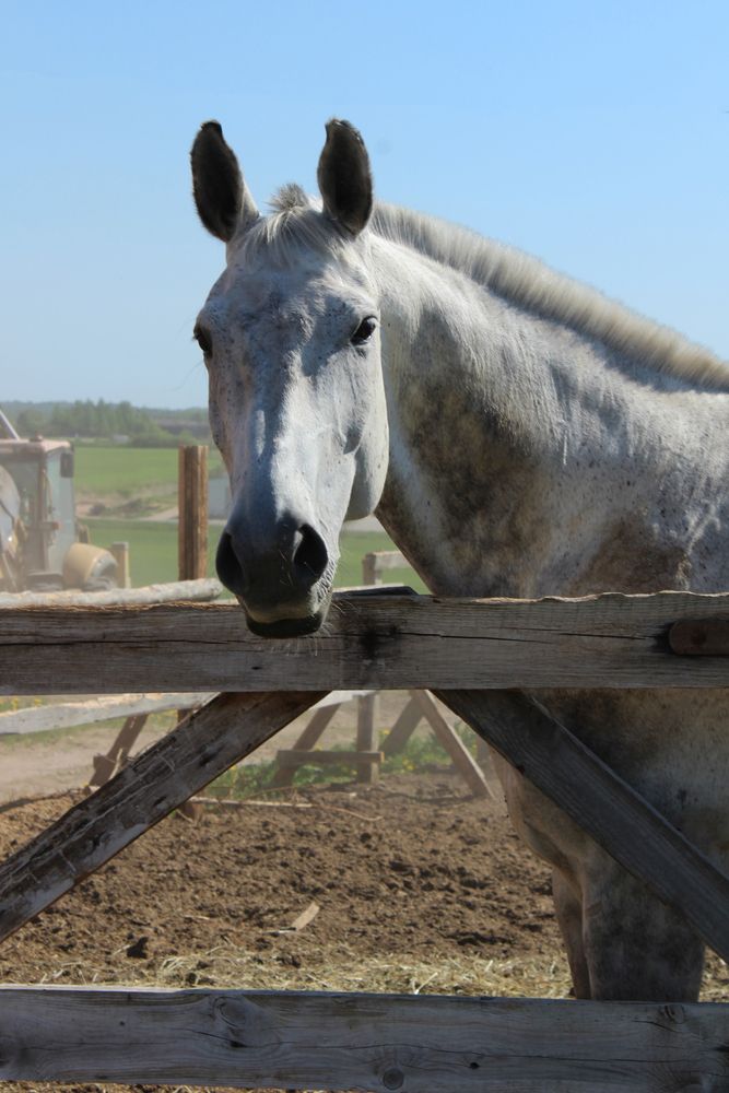 Photograph by Анна Брагина