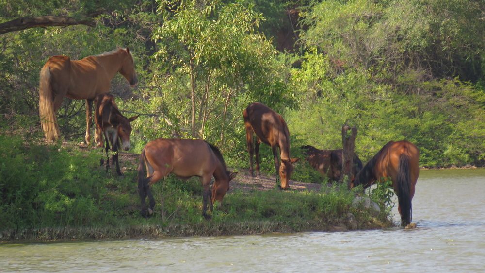 Photograph by Carlos Gutiérrez