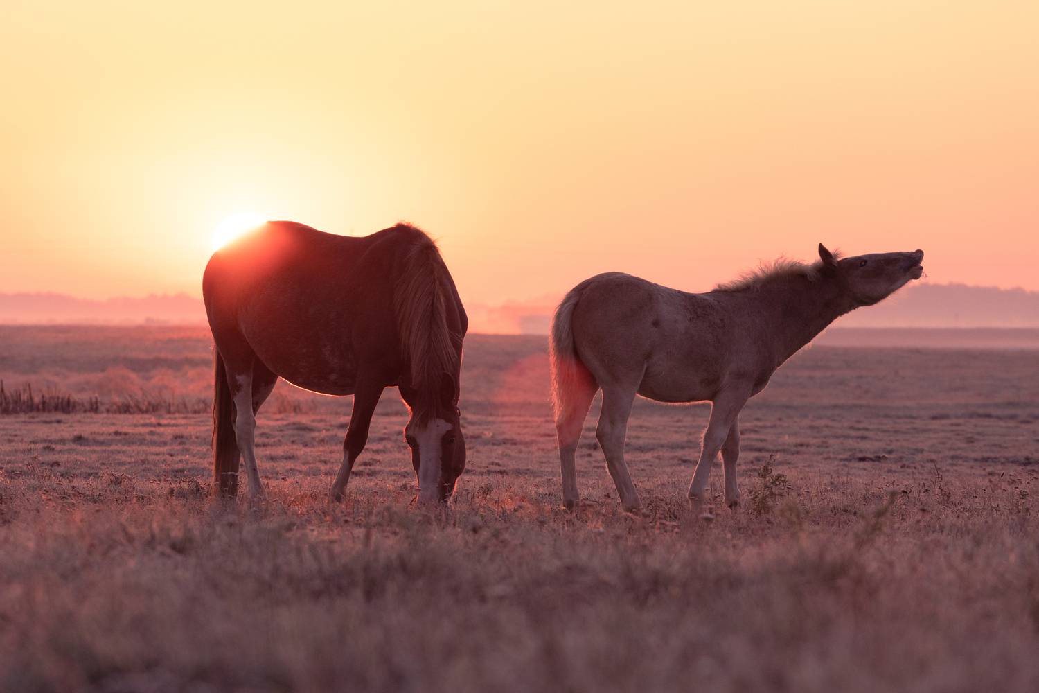 Фотография #13092340