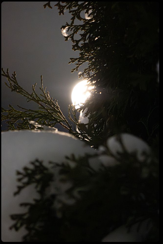 Photograph by Денис Сапрыкин