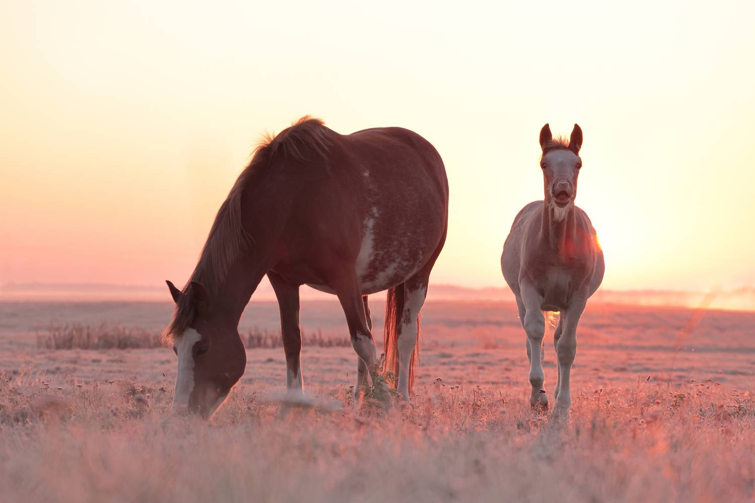 Фотография #13092369