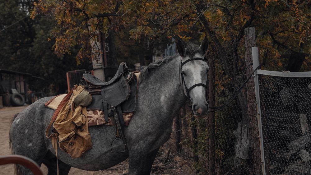 Photograph by Мария Вранковская