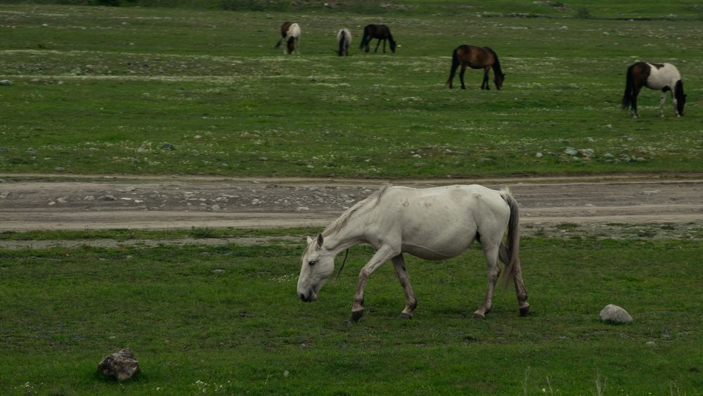 Photograph by Мария Вранковская