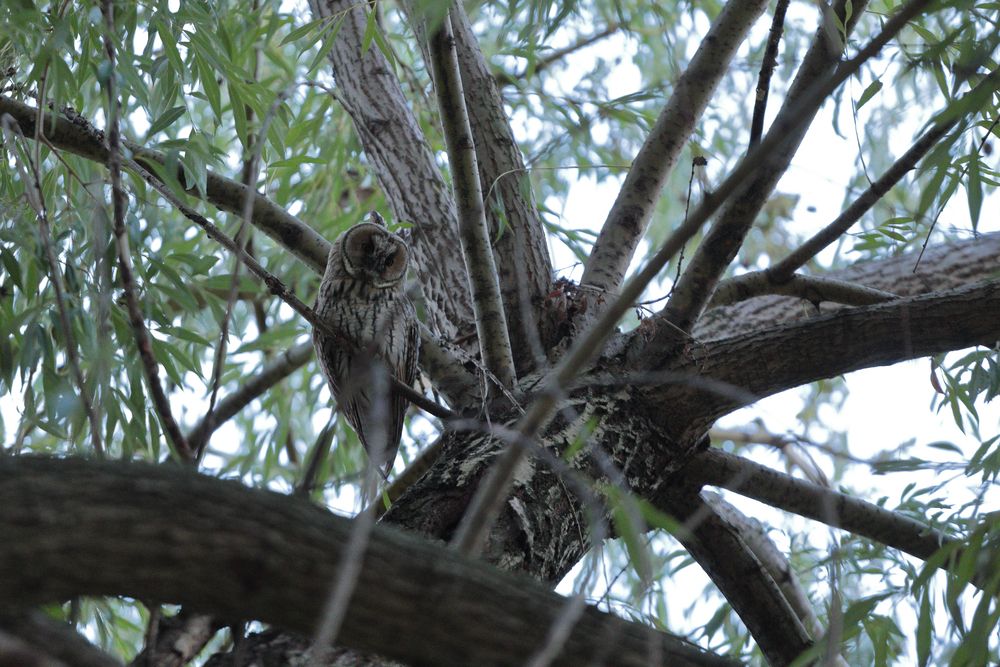 Photograph by Карина Онисенко