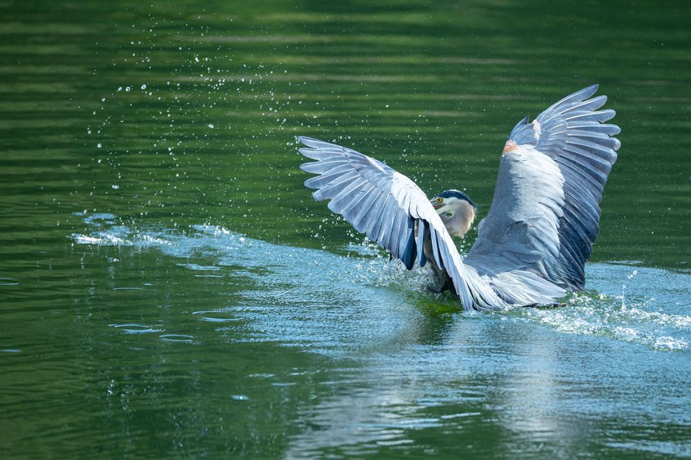 Photograph by Jim Murphy