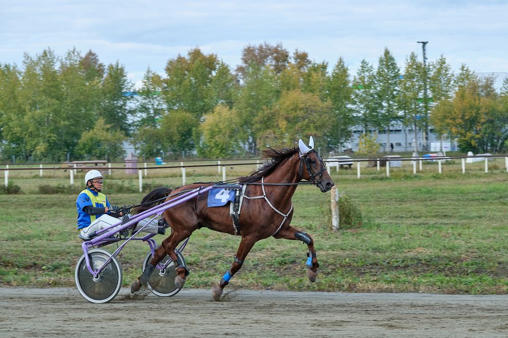Четвертый номер