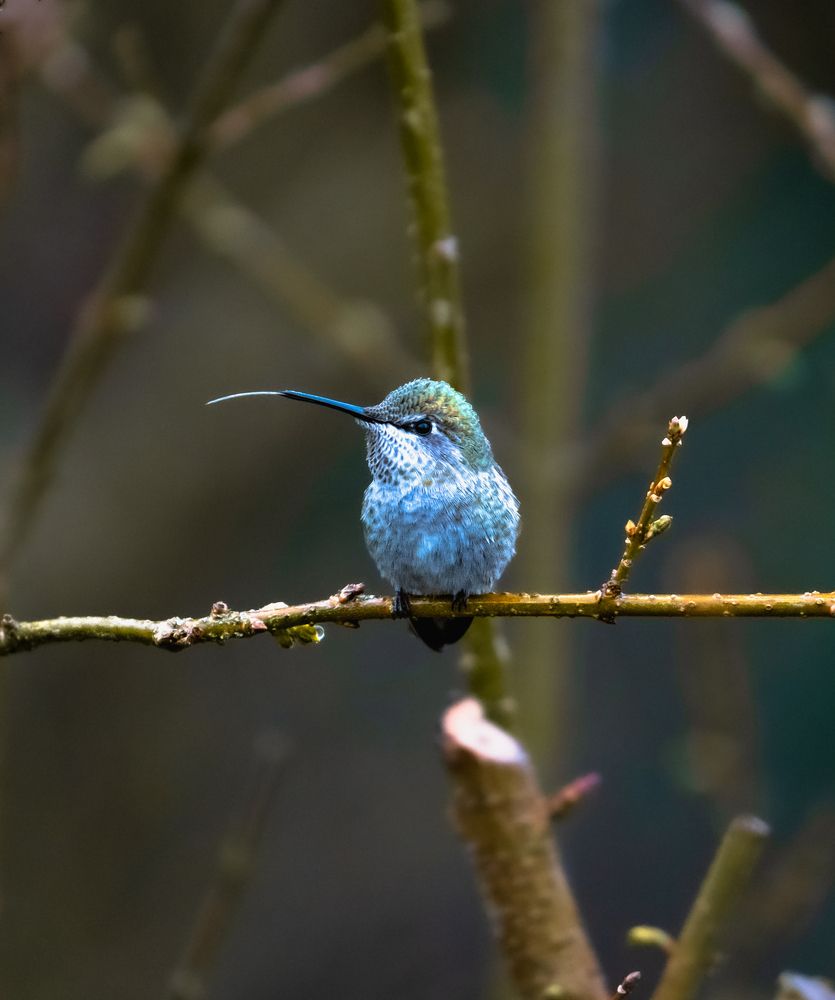 Photograph by Athul Konikkara