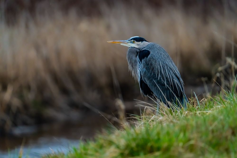 Photograph by Athul Konikkara