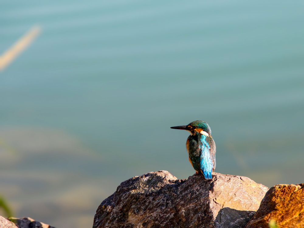 Photograph by Владимир Ли