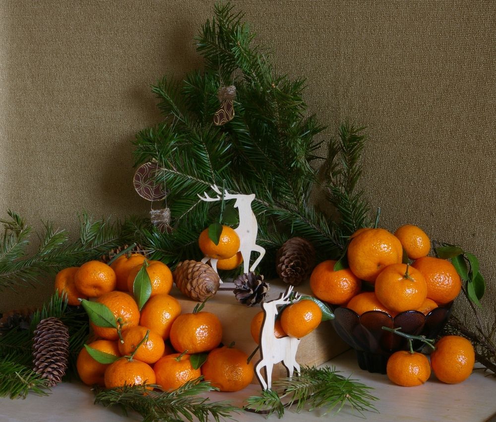 Photograph by Елена Алешкевич