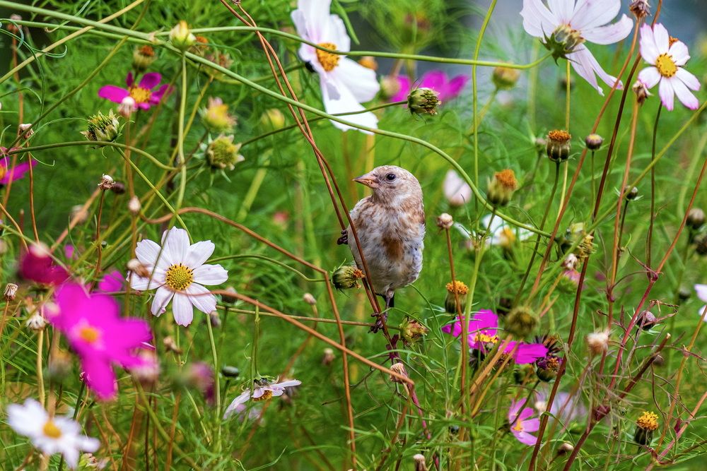 Photograph by Анатолий Чесноков