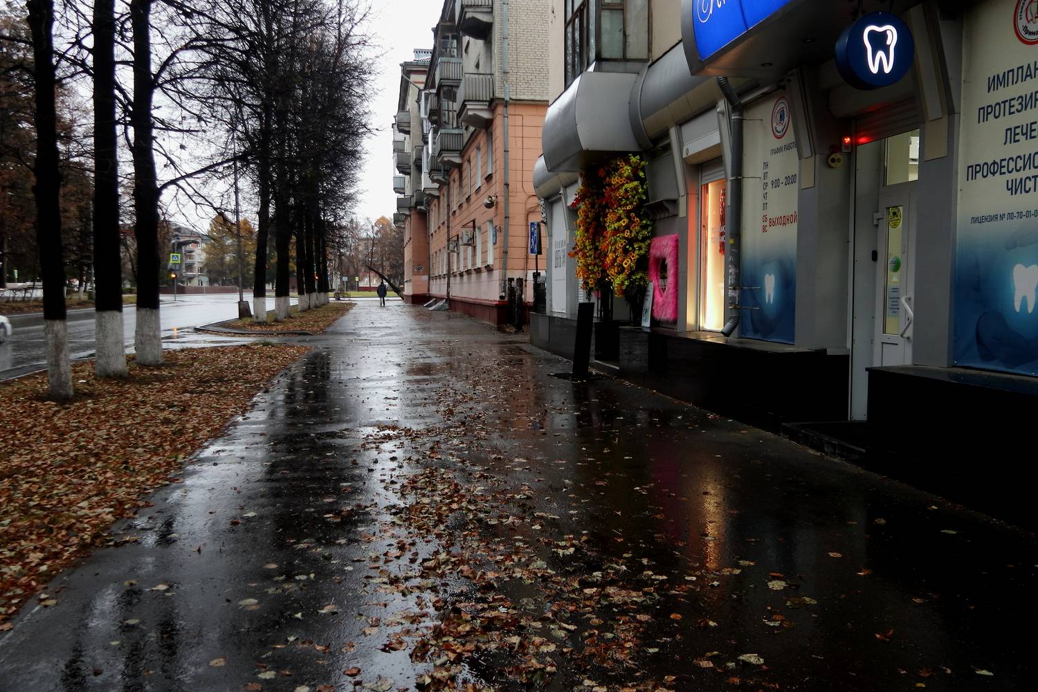 Photo #13092550