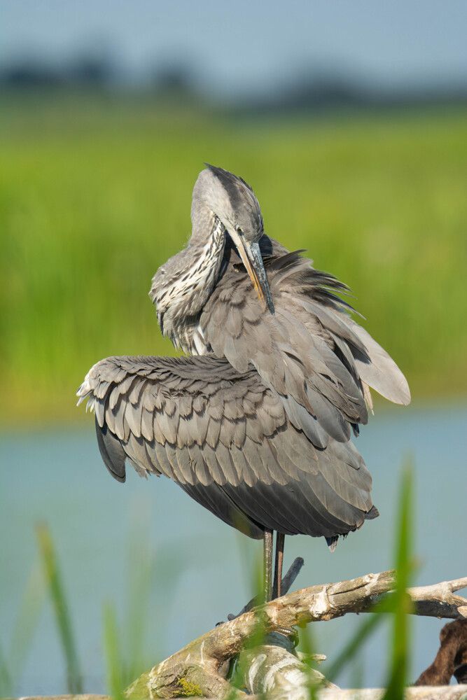 Photograph by Владимир Стрелков
