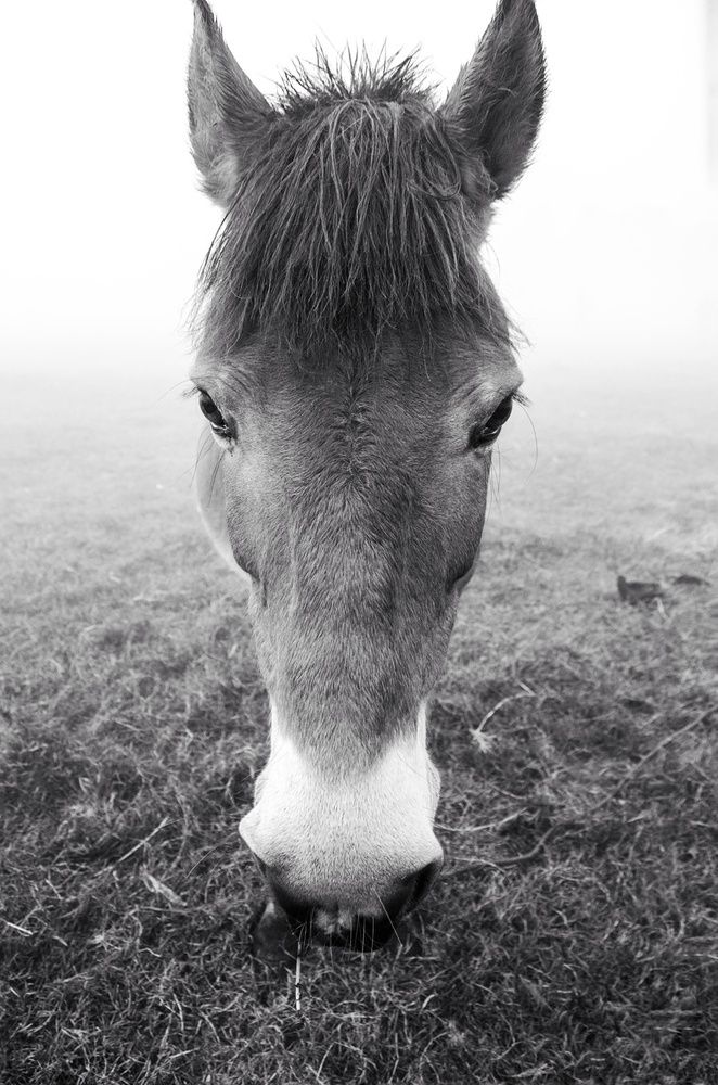 Photograph by Partha Ghosh