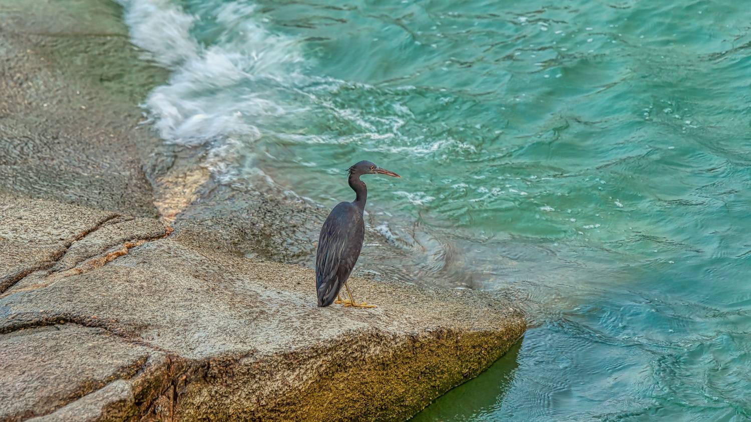 Фотография #13092566