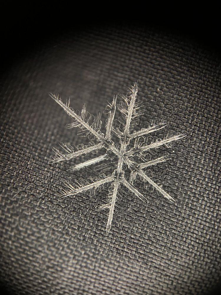 Фотография автора Полина Ишкина