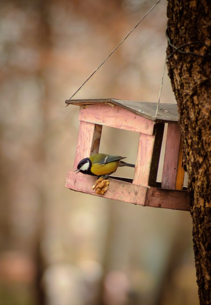 Photograph by Евгений Сеничев